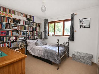Picture 12